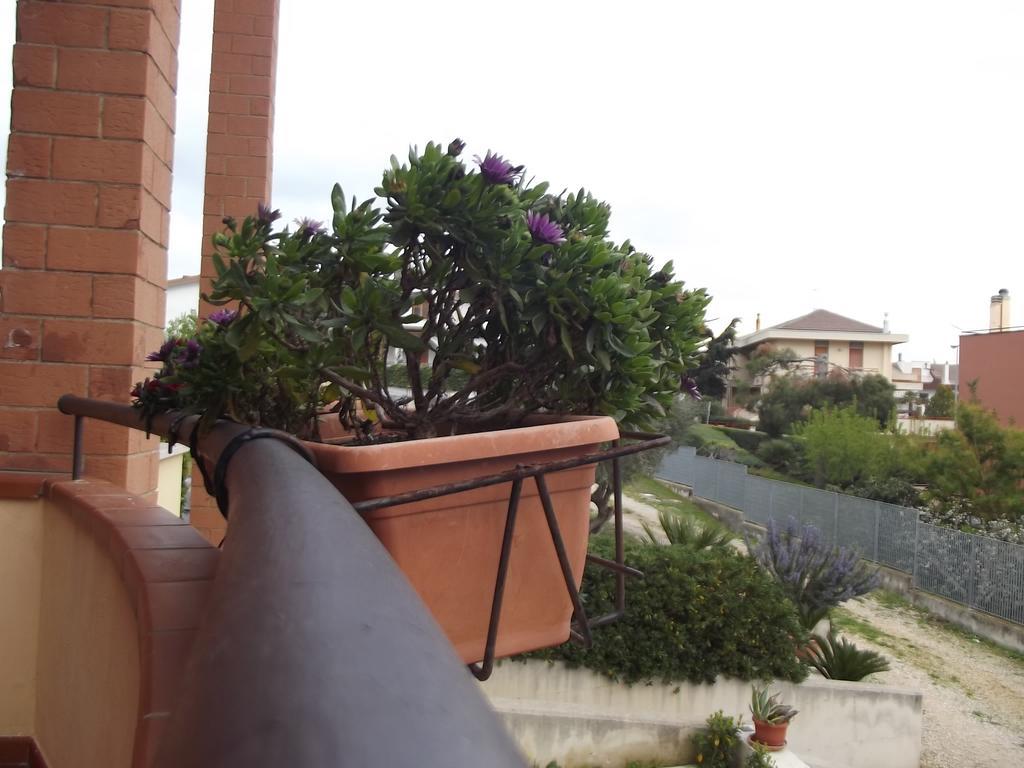 La Specchia Bed & Breakfast Matera Ngoại thất bức ảnh